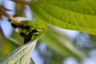 67074717 10219057065320492 9083246787497558016 N 10219057065280491