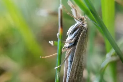 67078692 10219057064600474 8521441528759975936 N 10219057064560473