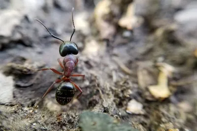 67105781 10219057073120687 5882535470872657920 N 10219057073080686