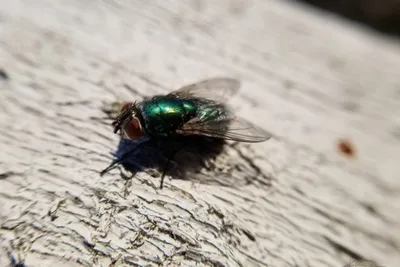 67372649 10219118519056797 713419176244412416 N 10219118519016796