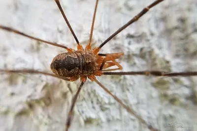 67402728 10219121133442155 552619101080518656 N 10219121133362153