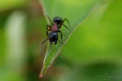 67434694 10219121132922142 7322498801036427264 N 10219121132842140