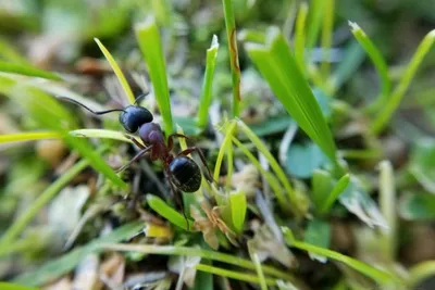 67444205 10219091508381547 1963157880882331648 N 10219091508341546