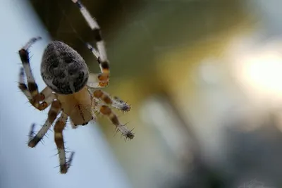 67469692 10219091498941311 758887873293320192 N 10219091498901310