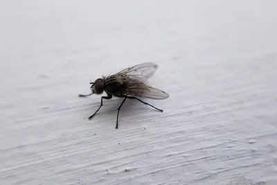 67623071 10219101349987581 7156041068532727808 N 10219101349827577