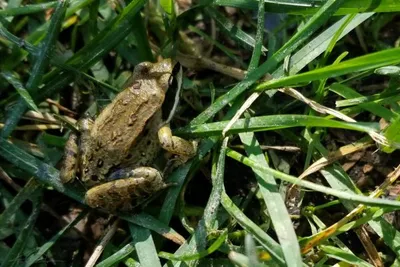 67657223 10219141680075808 401199174361546752 N 10219141680035807