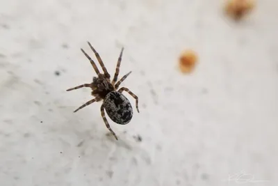 67658677 10219180614649148 6011891081145221120 N 10219180614609147