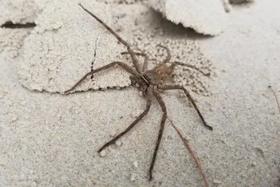 67757362 10219092267480524 8381719456572768256 N 10219092267440523