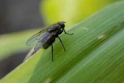 67772575 10219188635289659 946359828509360128 N 10219188635249658