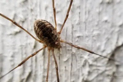 67777938 10219121133242150 4541253180452765696 N 10219121133082146