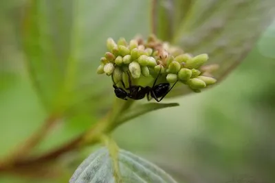 67892919 10219101350227587 8612712332579045376 N 10219101350187586