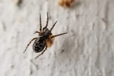 67976893 10219180614769151 6181316906633396224 N 10219180614729150