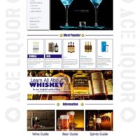 Aceliquor Web Design 01 Kelly Eros - Website Design and Website Development